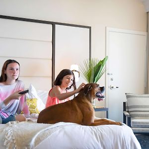 Tradition King Room